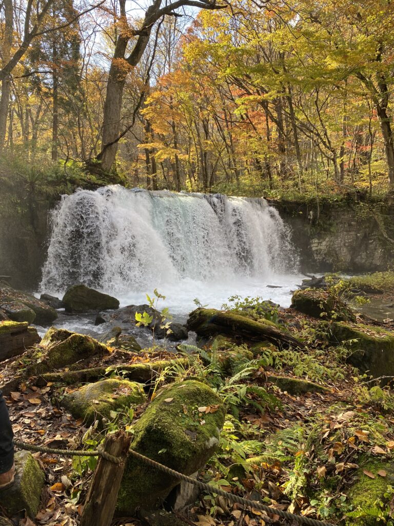 奥入瀬